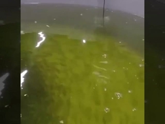 Online optyczny czujnik tlenu rozpuszczonego Rs485 optyczny czujnik tlenu